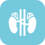 Functional medicine approach to autoimmune disease and root cause investigation at Matrix Health and Wellness